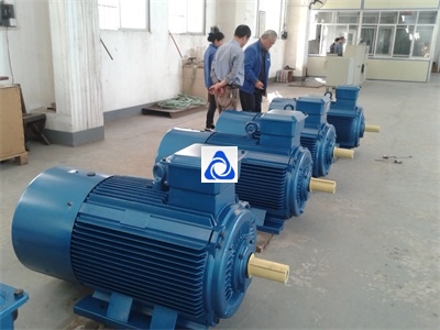 開關(guān)磁阻電動(dòng)機(jī)